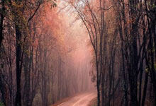 马德里竞技主场失利，主场气势受挫