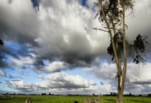 马德里竞技主场失利，主场气势受挫