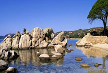 智利后卫谈及加盟意大利球队成果